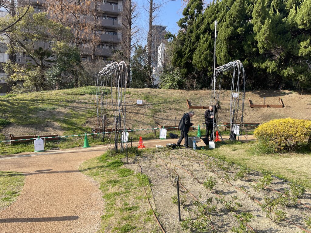 Osaka measurement campaign 6
